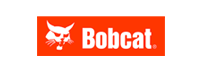 Bobcat